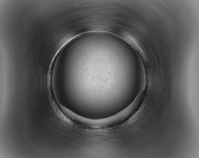 X0000087310900200704201208