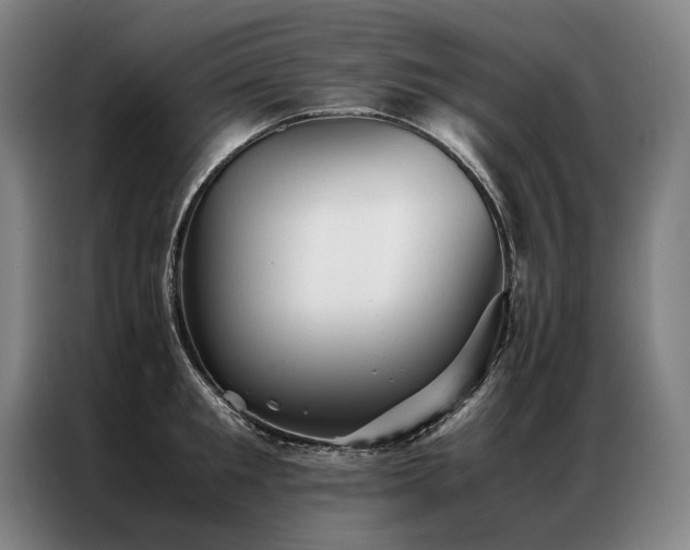 X0000087310901200704201208
