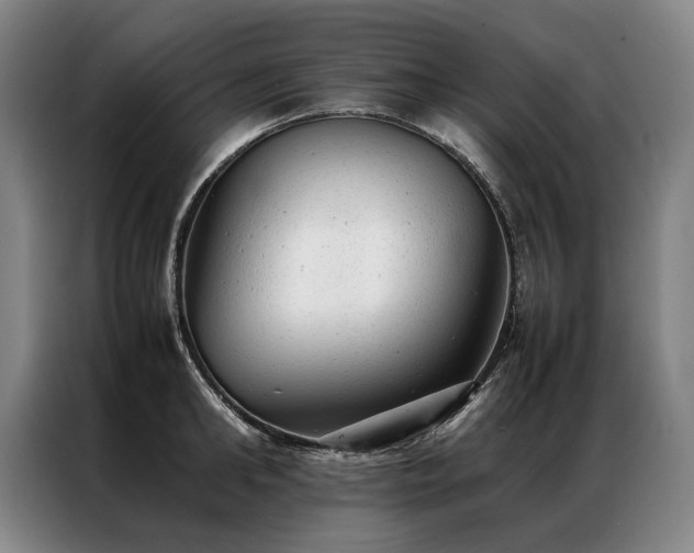 X0000087310902200704201208