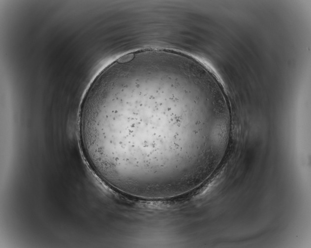 X0000087310903200704201208