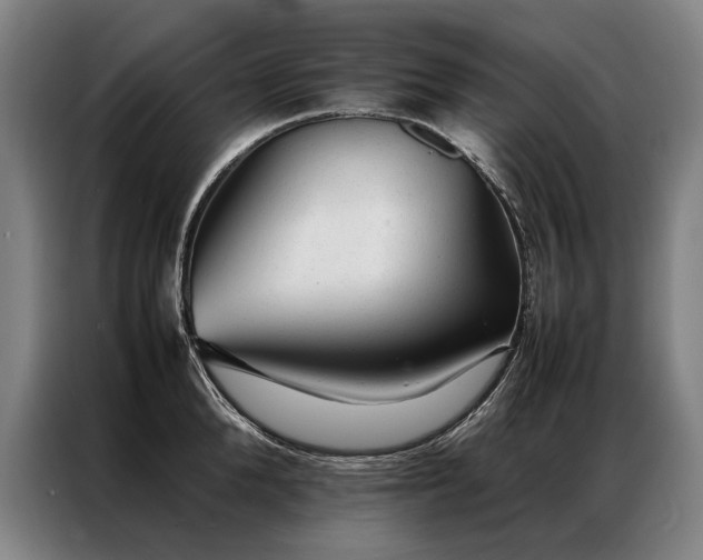 X0000087310904200704201208