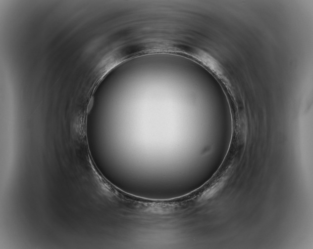 X0000087310905200704201208