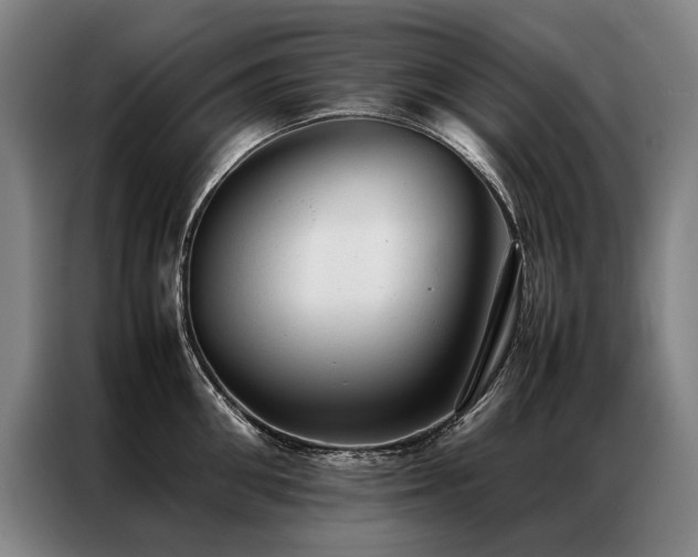 X0000087310906200704201208