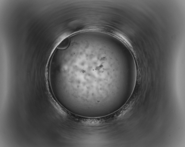 X0000087310907200704201208