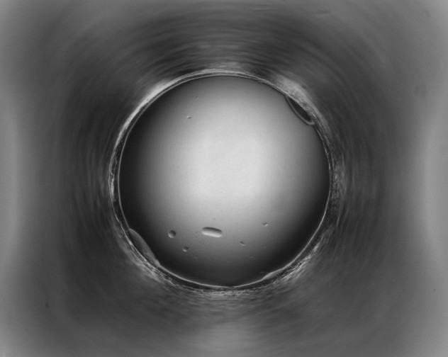 X0000087310908200704201208
