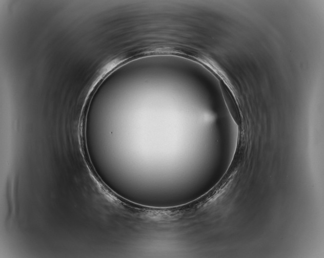 X0000087310909200704201208