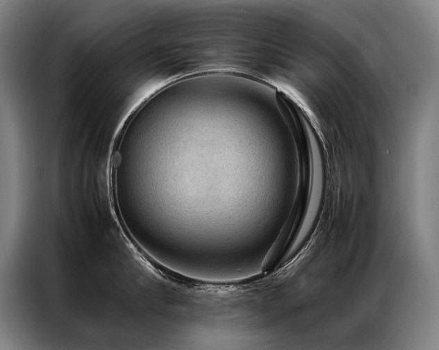 X0000087310910200704201208