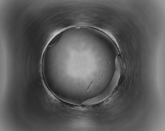 X0000087310911200704201208