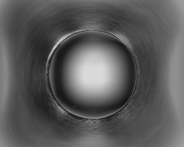 X0000087310912200704201208