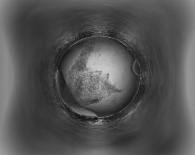 X0000087310913200704201207