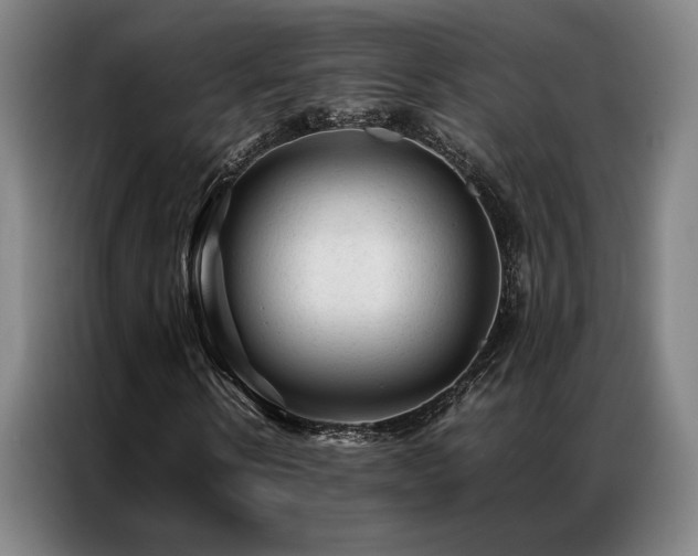 X0000087310914200704201207