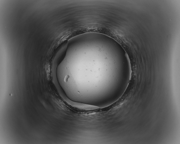 X0000087310916200704201207