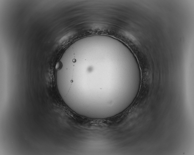 X0000087310918200704201207