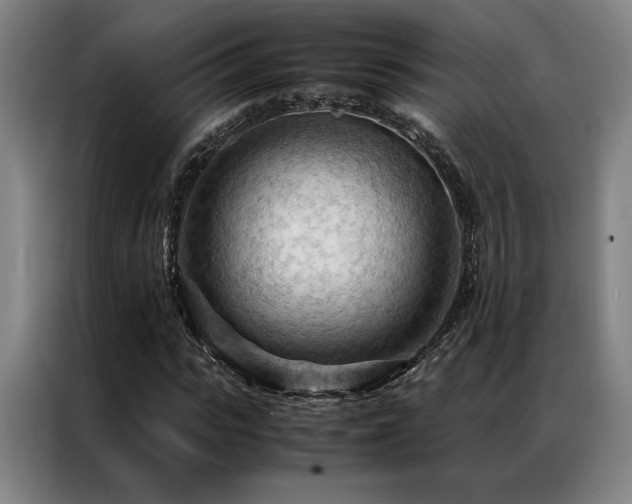 X0000087310919200704201207