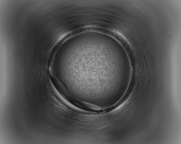 X0000087310921200704201207