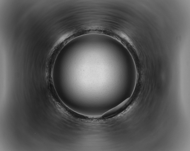 X0000087310922200704201207
