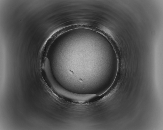 X0000087310923200704201207