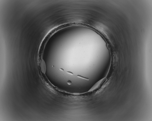 X0000087310924200704201207