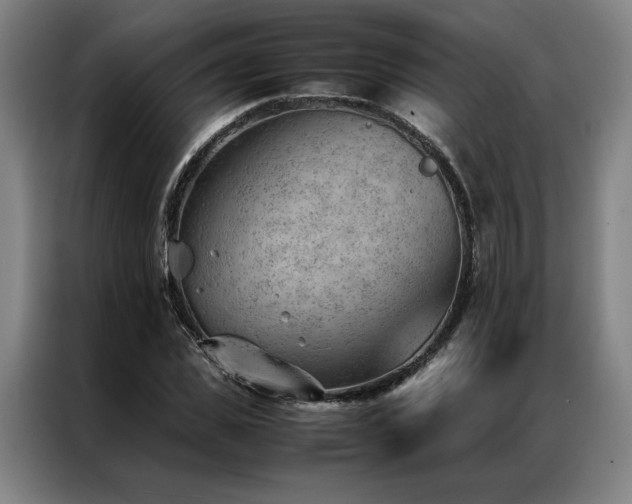 X0000087310925200704201207
