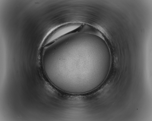X0000087310926200704201207