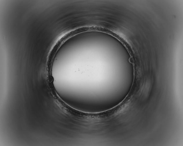 X0000087310927200704201207