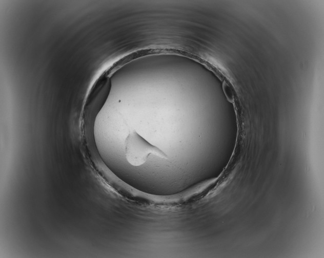 X0000087310928200704201207