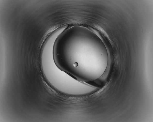X0000087310930200704201207