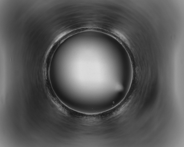 X0000087310931200704201207