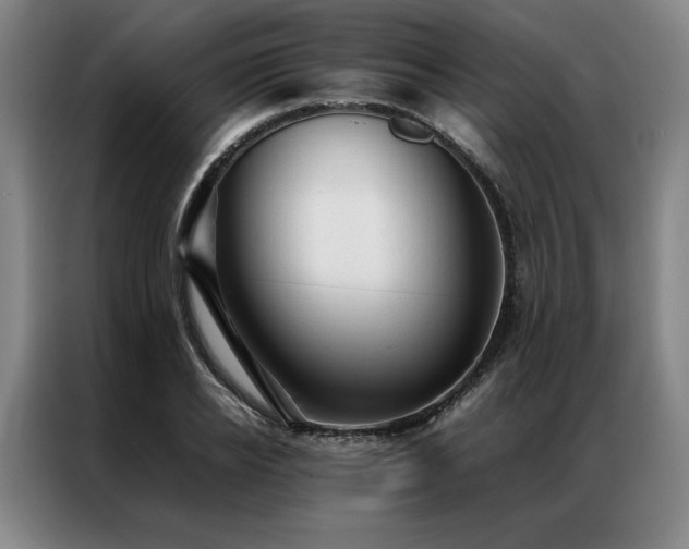 X0000087310934200704201207