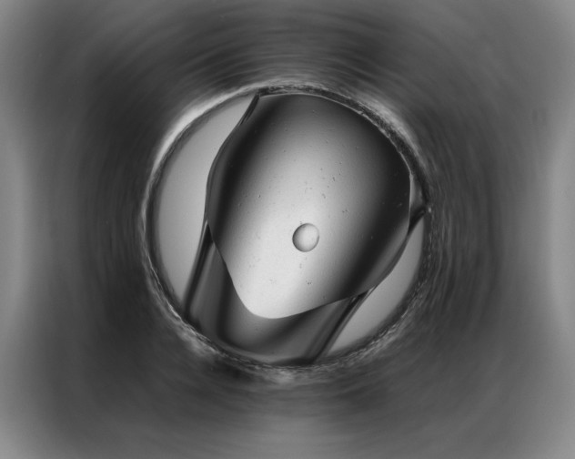 X0000087310936200704201207