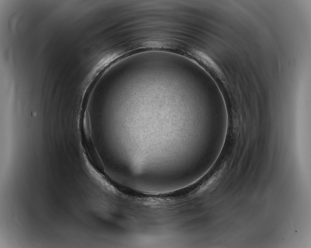 X0000087310938200704201208