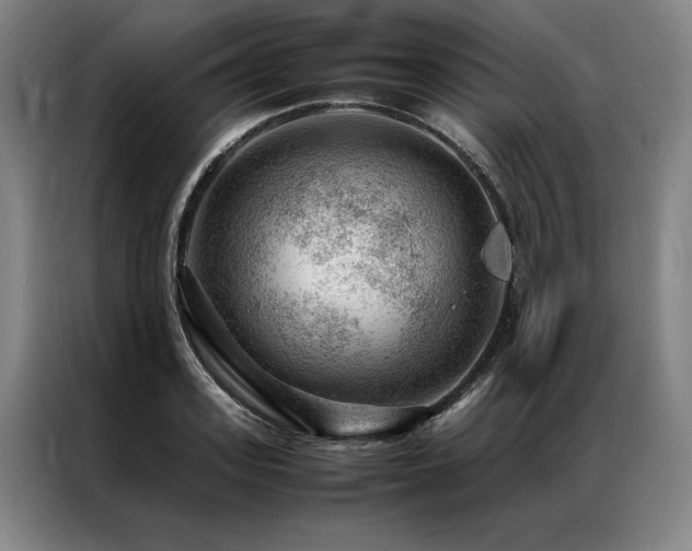 X0000087310939200704201208