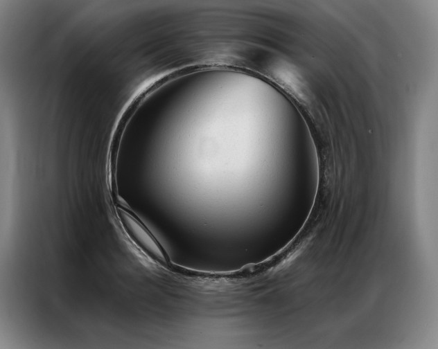 X0000087310940200704201208