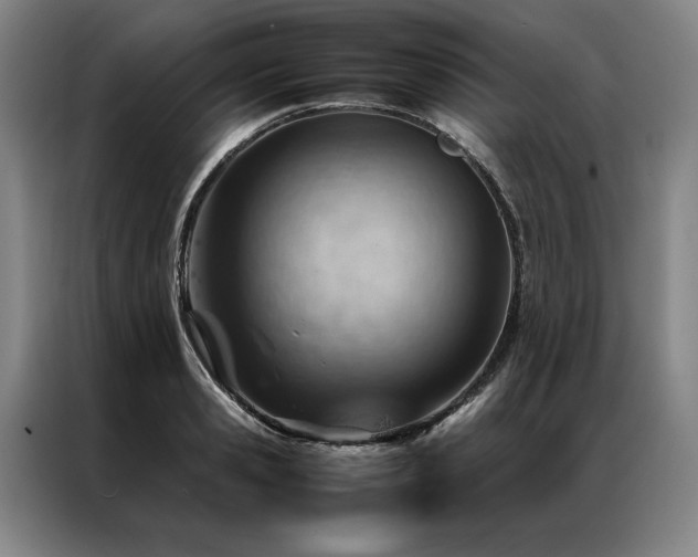 X0000087310941200704201208