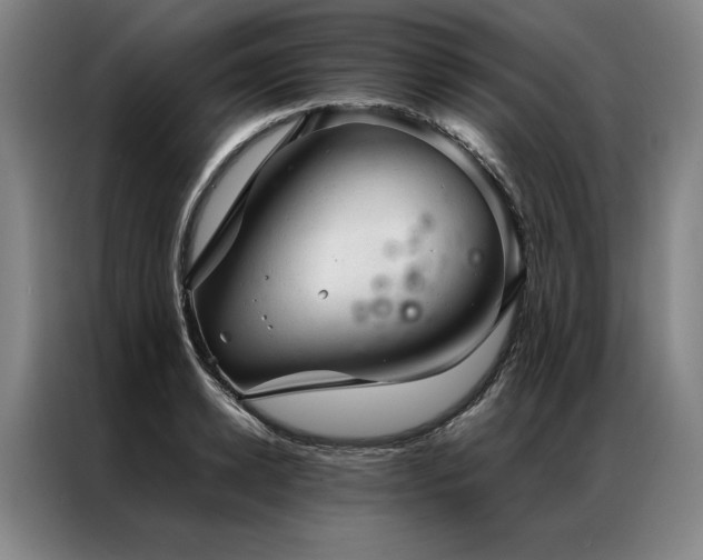 X0000087310942200704201208