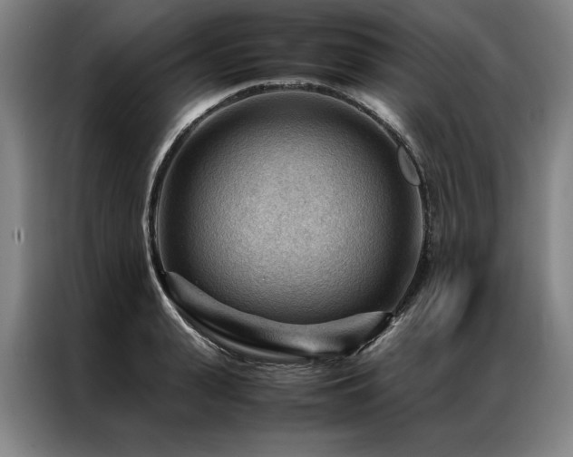X0000087310943200704201208