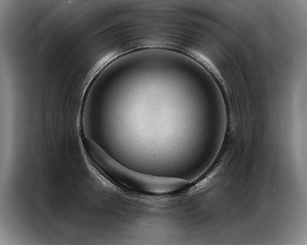 X0000087310946200704201208