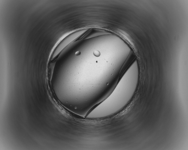 X0000087310948200704201208