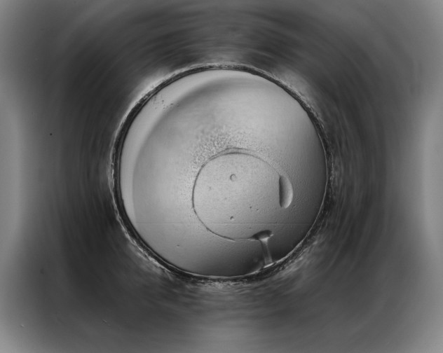 X0000087310950200704201208