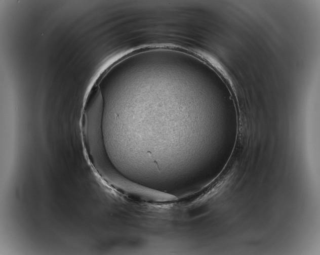 X0000087310951200704201208