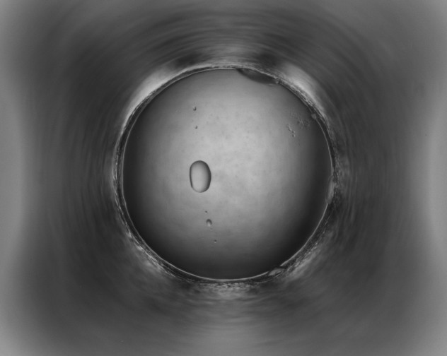 X0000087310952200704201208