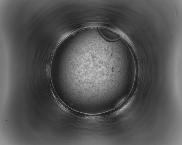 X0000087310953200704201208