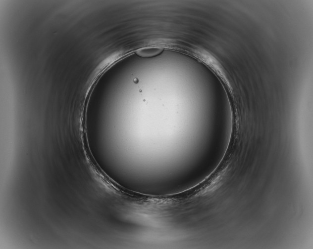 X0000087310954200704201208