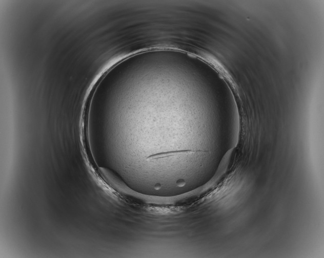 X0000087310955200704201208