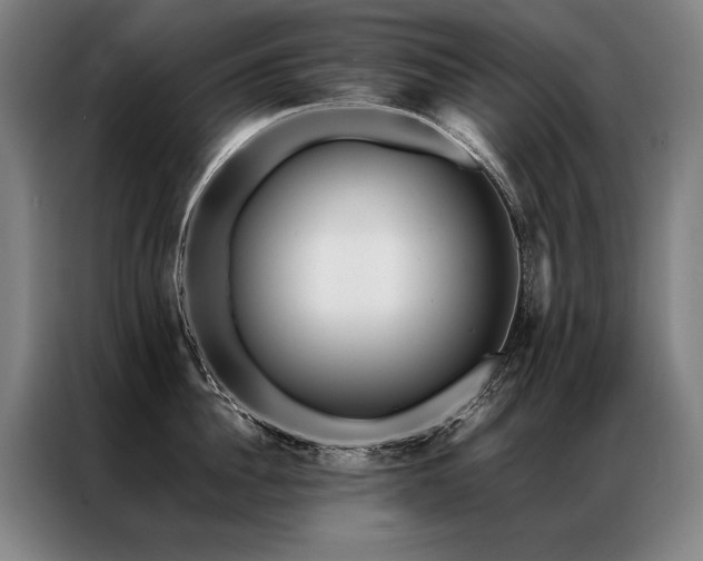 X0000087310956200704201208