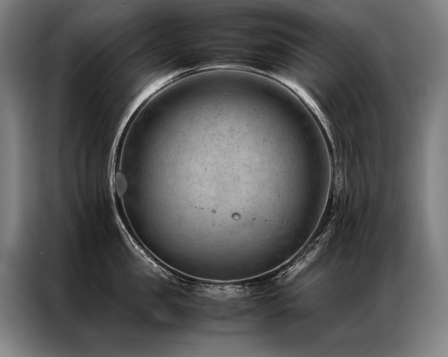 X0000087310957200704201208
