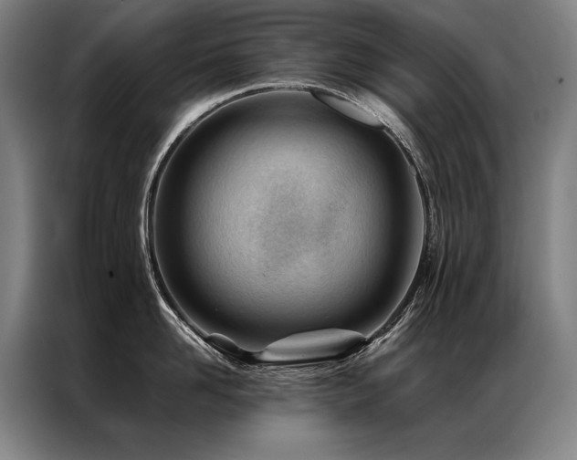 X0000087310958200704201208