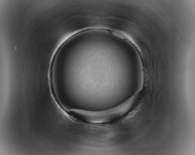 X0000087310959200704201208