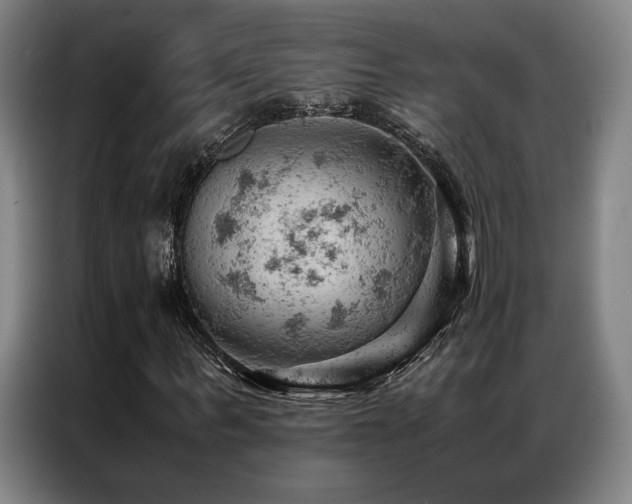 X0000087310963200704201207