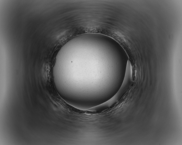 X0000087310964200704201207